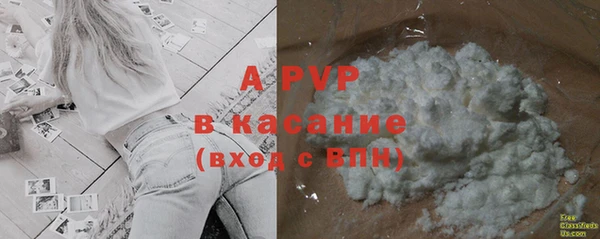 прущие грибы Пересвет
