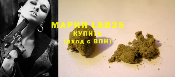 ГАЛЛЮЦИНОГЕННЫЕ ГРИБЫ Алексин